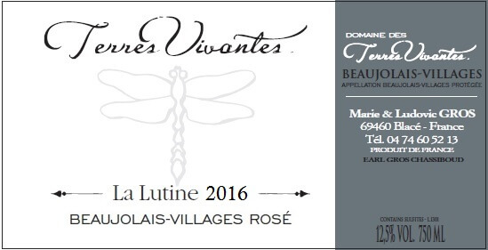 Wine From Domaine Des Terres Vivantes Bonhomie Wine - 