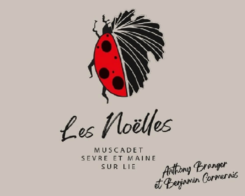 Domaine des Graintes Les Noelles muscadet front