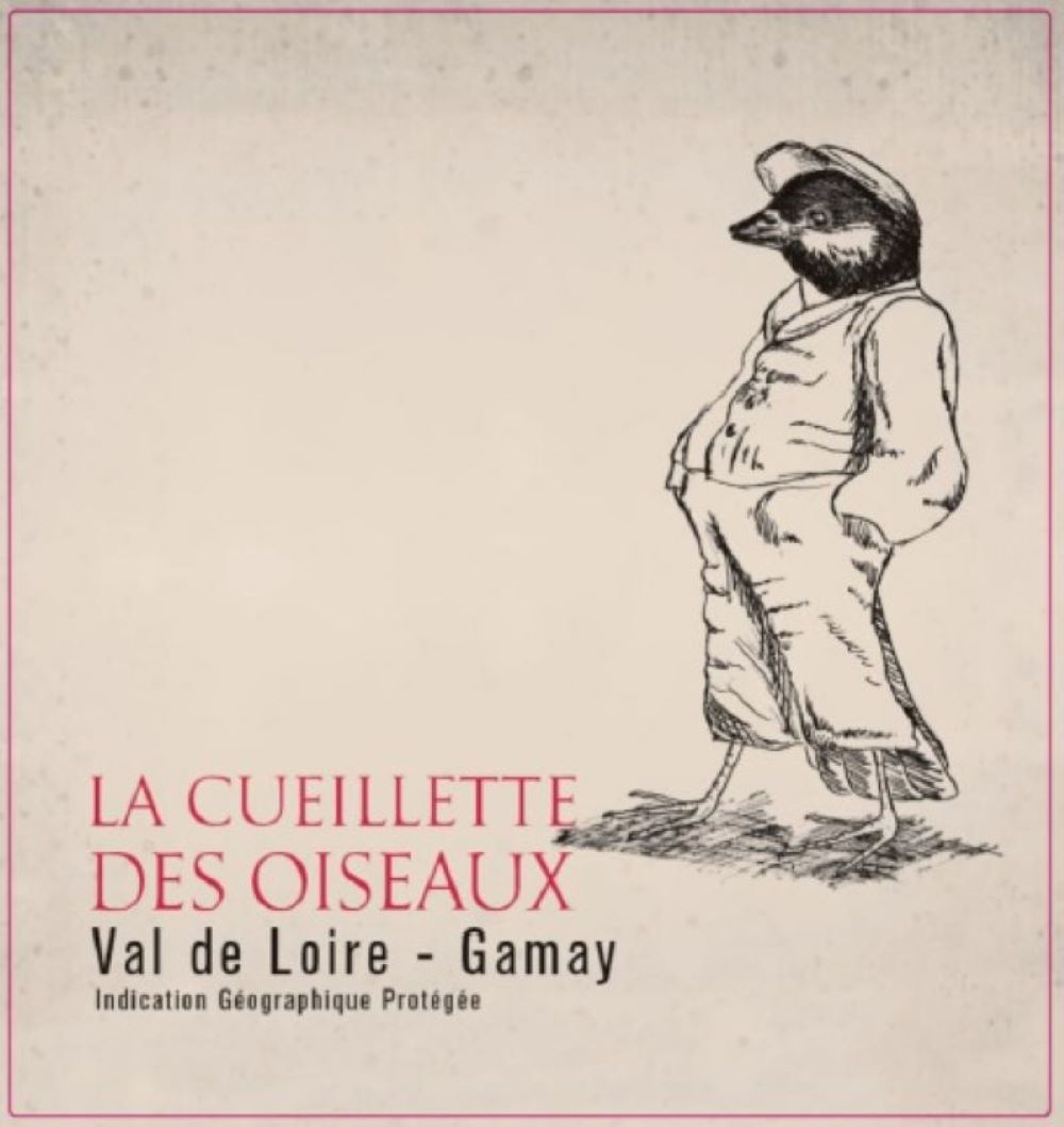 Cueillette Gamay front