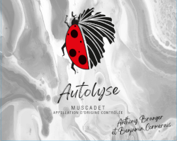 Autolyse