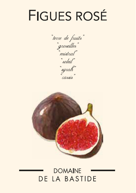 2024 IGP Figues Rose Front